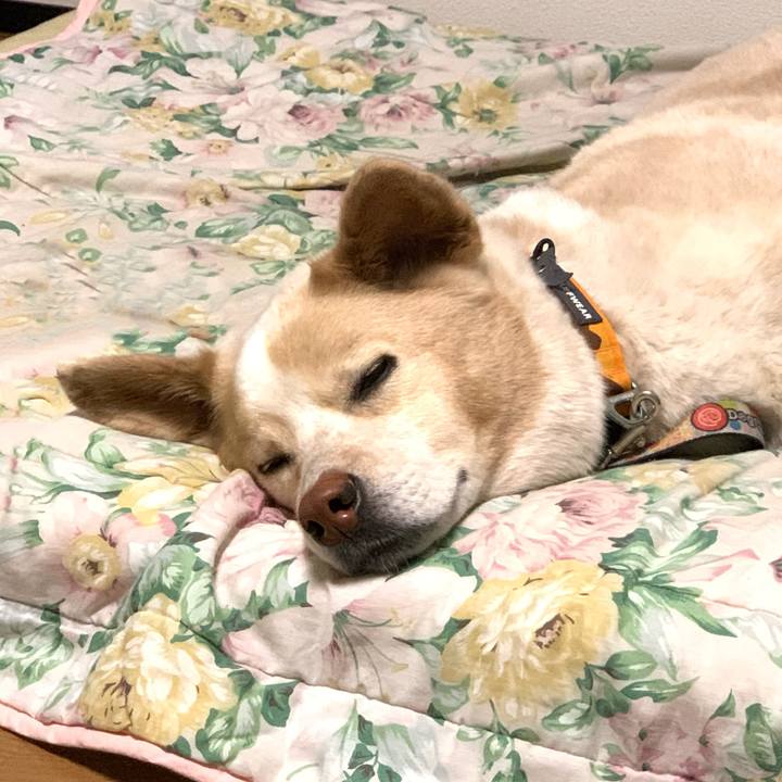 C38e301c 9193 475e 824a bcbd22e9e082 1586185068444