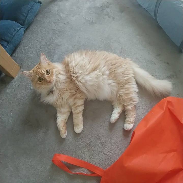 C38e4a5d b741 49da 9ad6 0de5a2c9091c 1651737816289