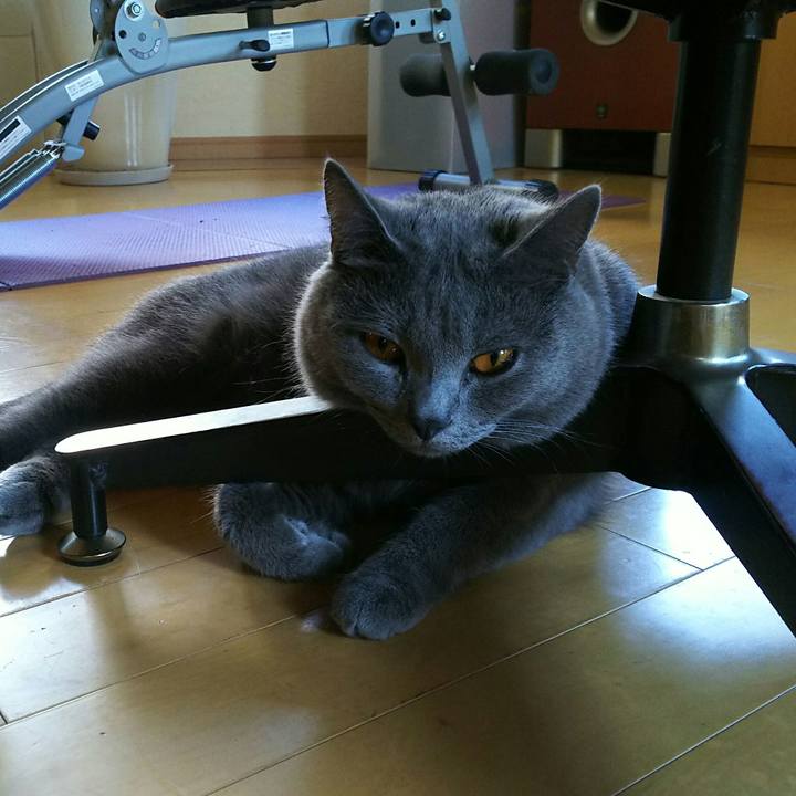 C38e60ff f039 4ed1 b8fe bb7274b74d12 1533022252610