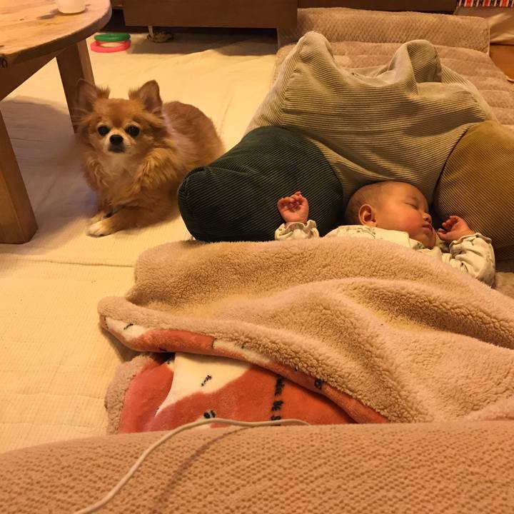 C38e6e51 2f7b 46d2 a5d2 137094b8349b 1518182313801