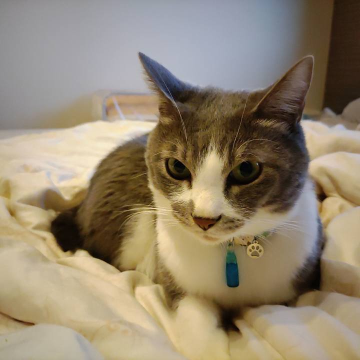 C38e7e2e c5cd 4db7 b4d4 10eed29da053 1698616621005