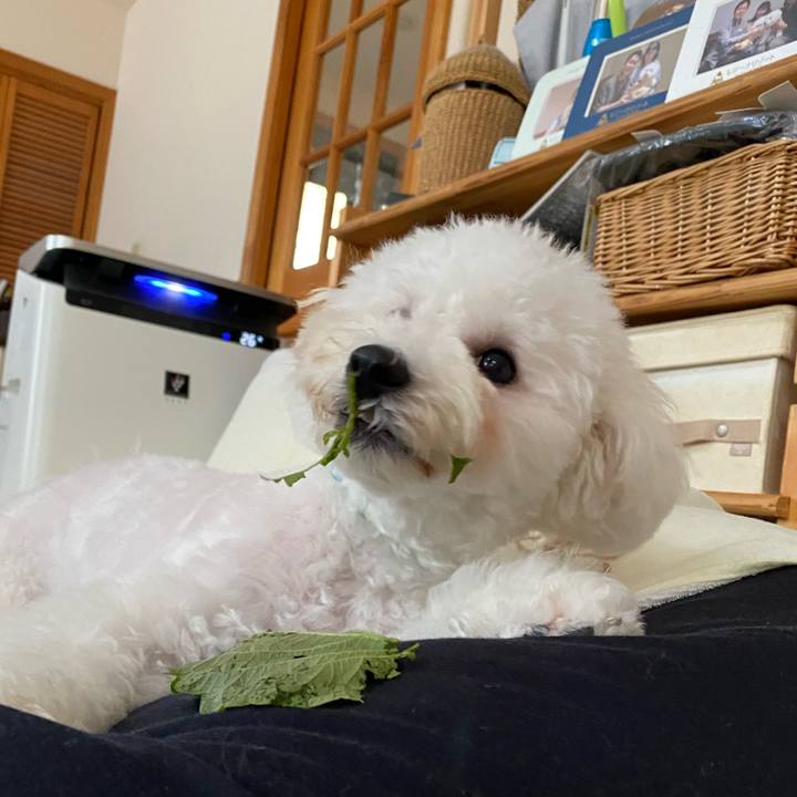 C38e9b37 c187 473b 83d9 5e2bad5caa24 1753219881924