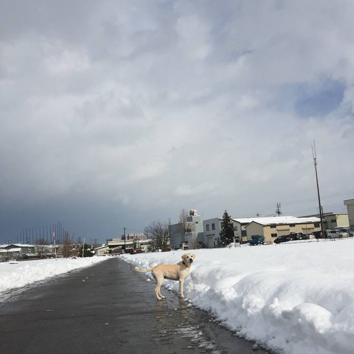 C38f2b2d 3343 442d b4df 1459746ef12d 1580563983379