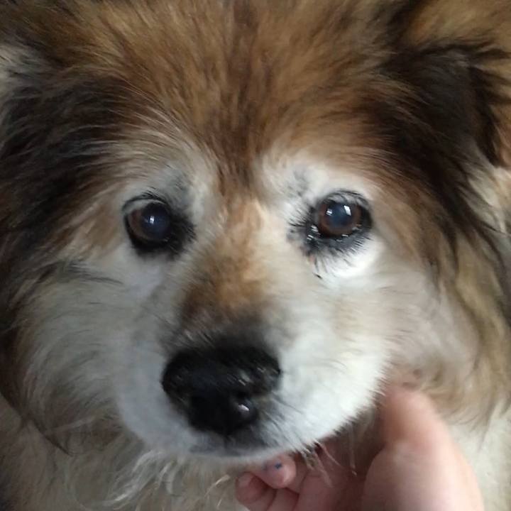 C38f2f80 e0a5 4c64 b025 e901dac97811 1583909282529