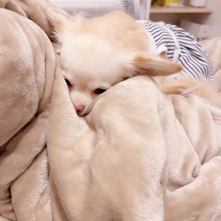 C38f4c4b 6765 4246 b116 bf45588376fd 1697765038767