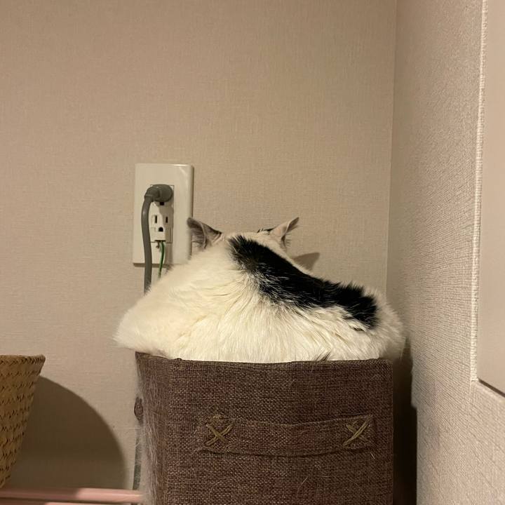 C38f4c55 527d 47ea 8ca0 15ab21a48b5b 1743323781580