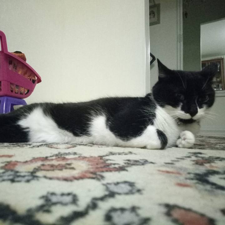 C38f557e 829c 44dc a8e6 d2b2af9c4118 1514150504530