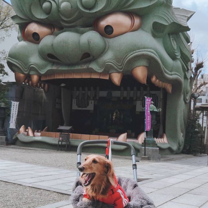 C38fb6b9 ec87 463e b330 dbeeed7d132a 1651153672994