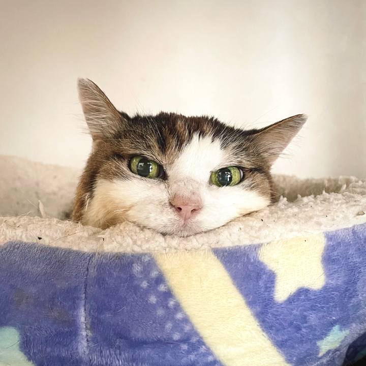 C38fe354 66d0 4f46 acdb 48869c7aa47b 1729608020499