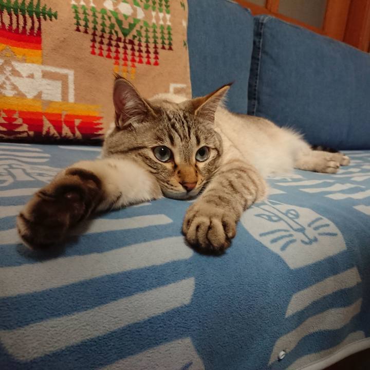 C390091f 1ac5 40a7 b1bc f111dfbd6dfc 1557664911764