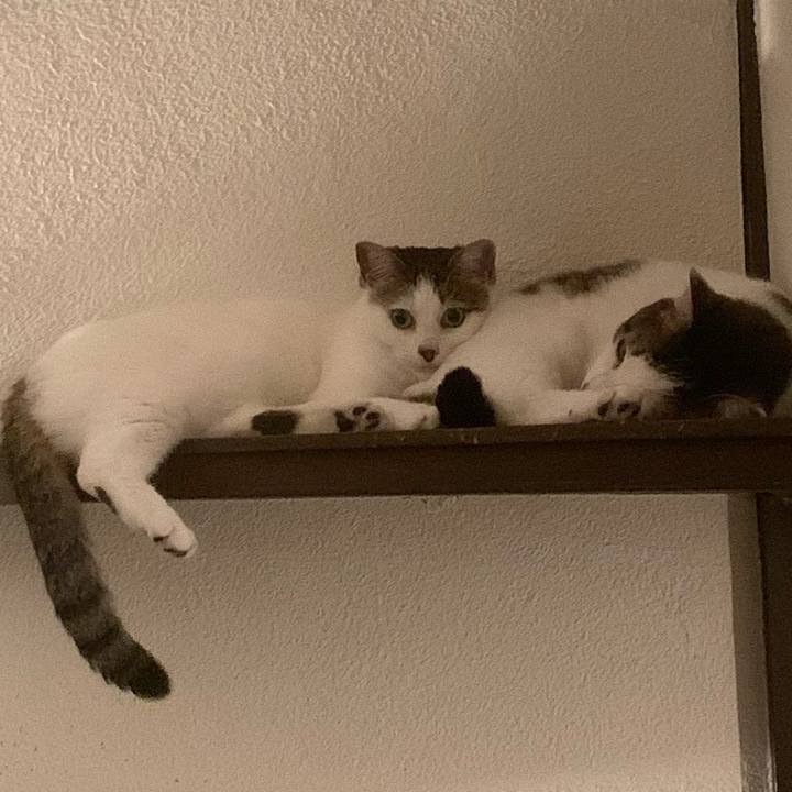 C3903398 0f83 4e73 a0b1 b36c191f8508 1614952989660