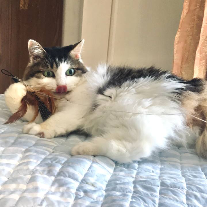 C390390f 7df3 4c9b b6c8 5bc9984e133b 1632758352902