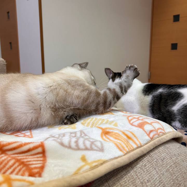 C3904982 37f1 4a40 a11a 2072c021dc28 1767011569146