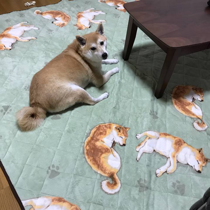 C3905cab 4521 435f 9d5b 6efe59613989 1539770547803