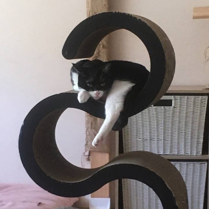 C3905cd3 9011 40b8 a7cd 39d95ef79e37 1584877458820