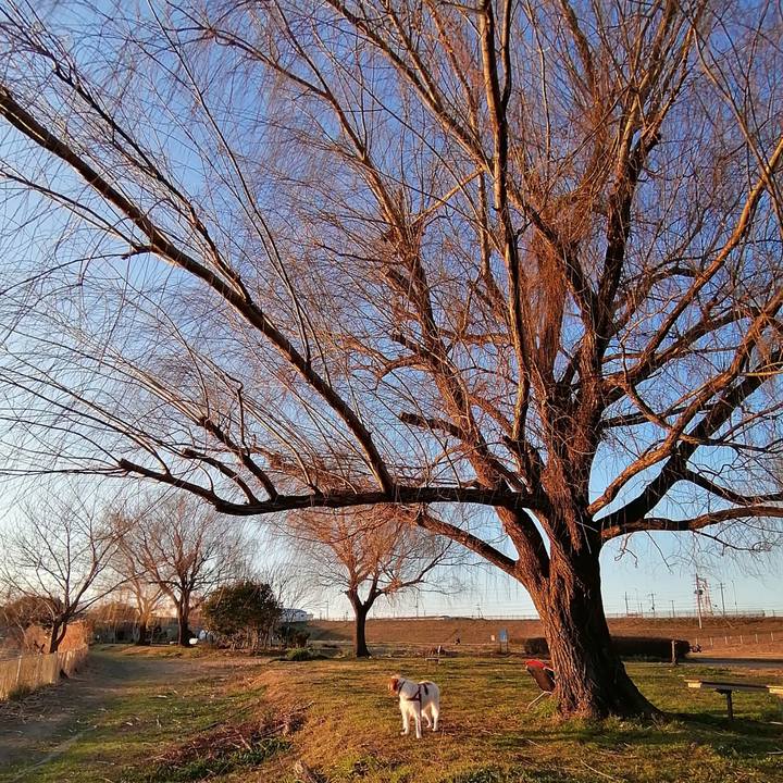 C39078e7 7dfc 4cb0 b6a3 f651d1f9c77d 1612093084482