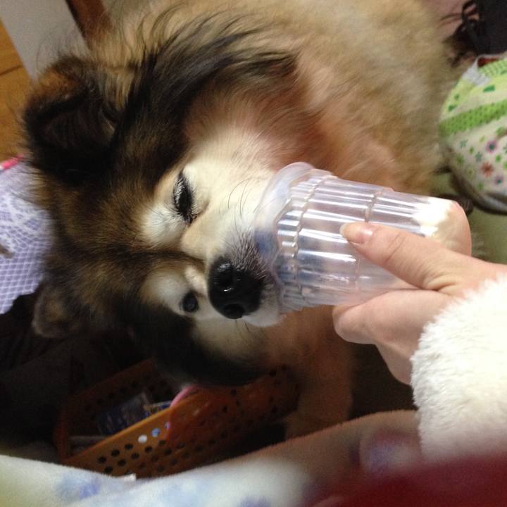 C390ca6e 75a6 4aac b417 59decb7eef17 1550359343770