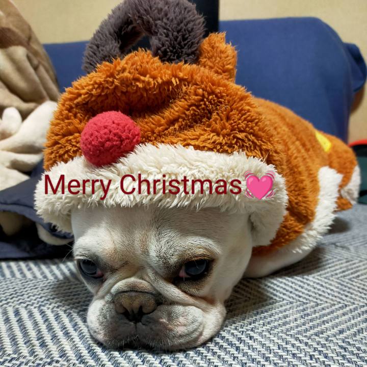 C390ccaa c302 4cbe b32a c224ff4a0bba 1671885067314