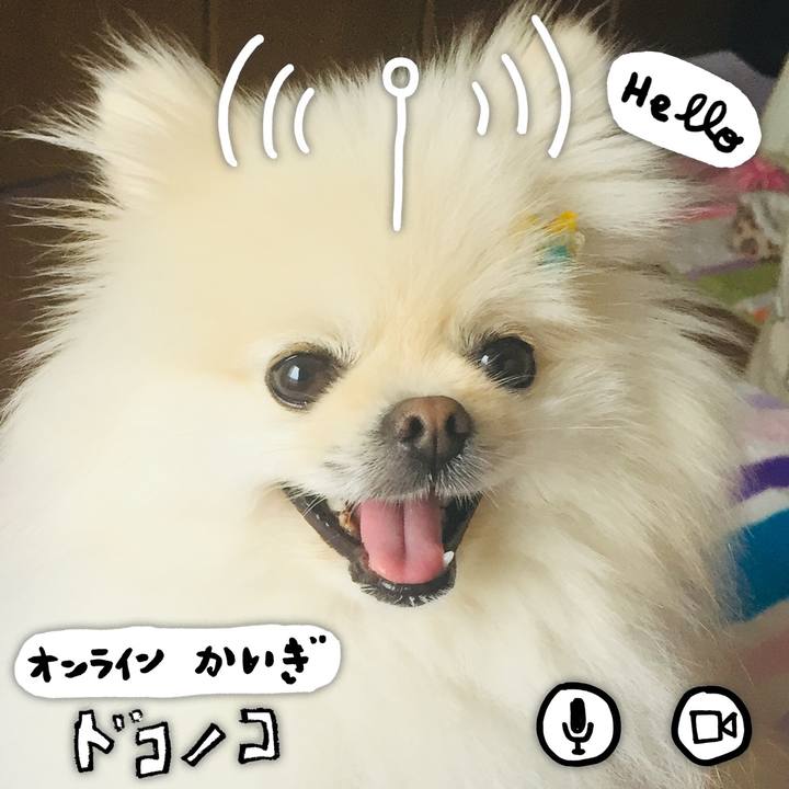 C390dd59 bf96 4b10 8908 6364c7686760 1590676352600