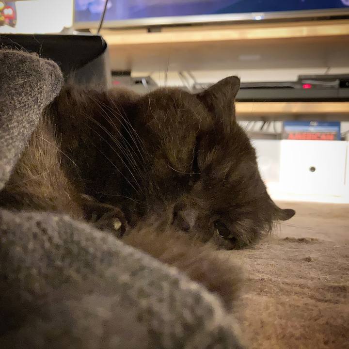 C391180c ed71 4f7b be65 419c83b61027 1639672951949