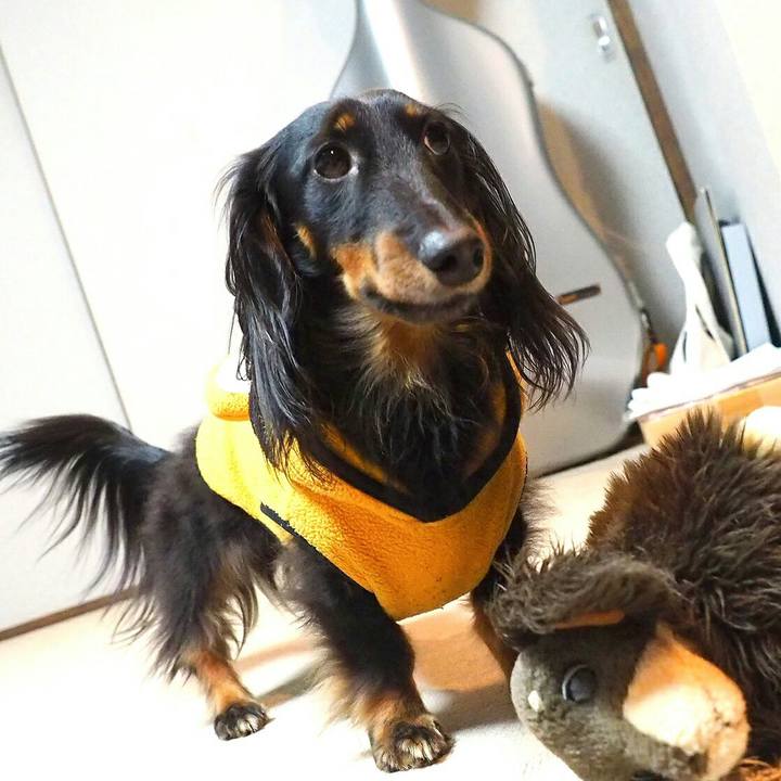 C391457a 64d0 4bb3 9040 e478d027030c 1517886375344