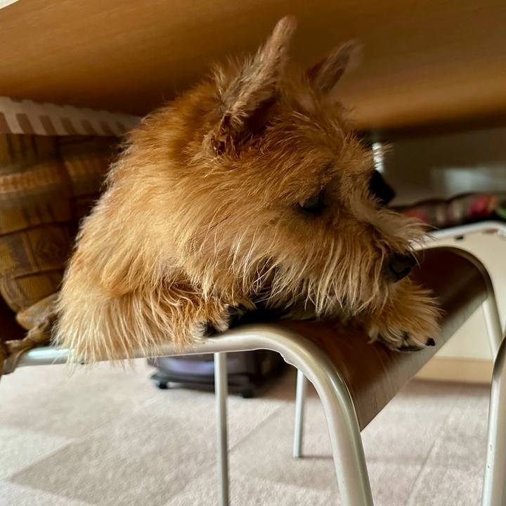 C3917fa2 295f 4f14 80d0 307052d22875 1717743541987