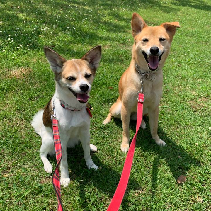 C3918ea8 b865 489a 8bc9 e1d1d6058999 1591323413219