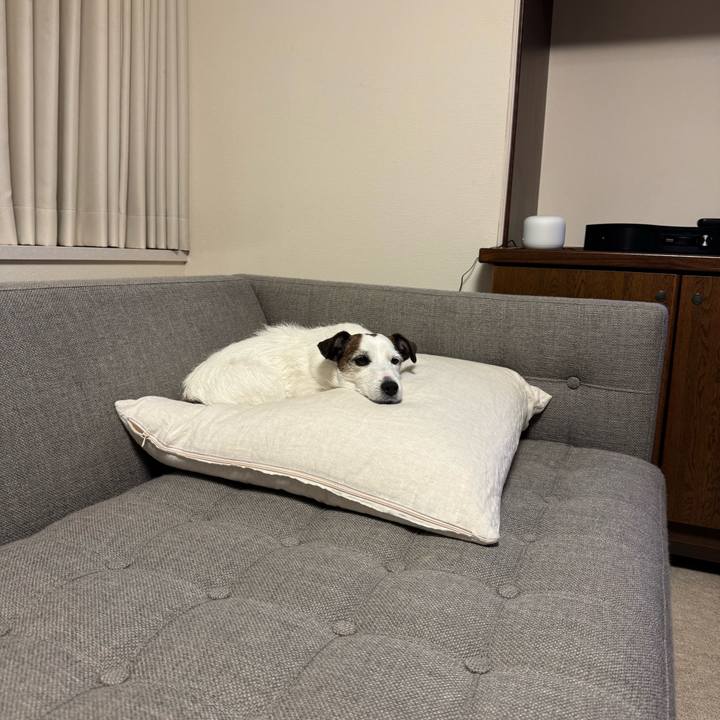 C391e43f 91c6 47f8 b986 3b09ea5ca855 1774188621790