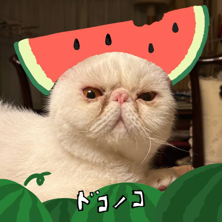 C391e9ac 4429 4ef4 9273 f97e827515f1 1721051097941