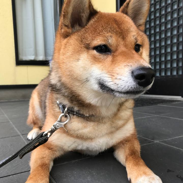 C391f749 498b 411f 83fb 452fed11a6fd 1519709205377