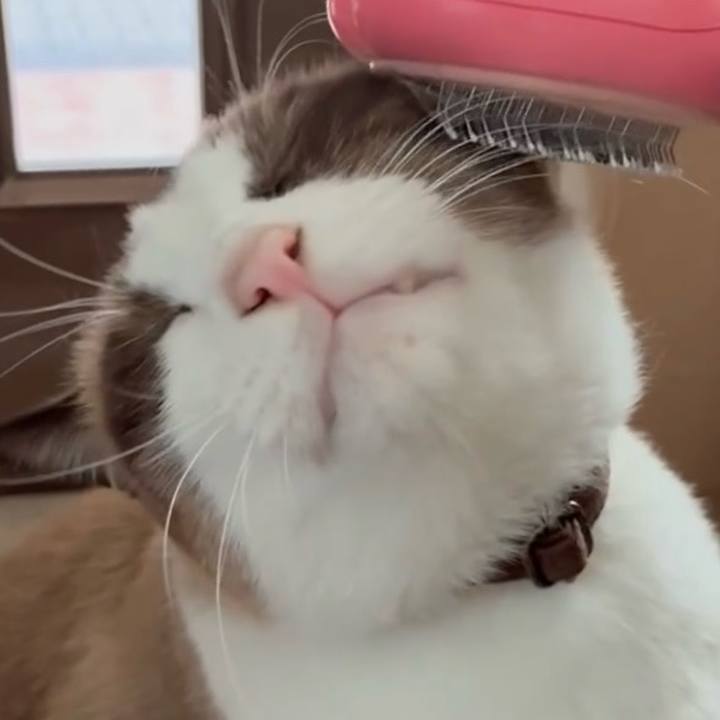 C39207ec d6fa 434d a159 ed44aca4138a 1761182288068