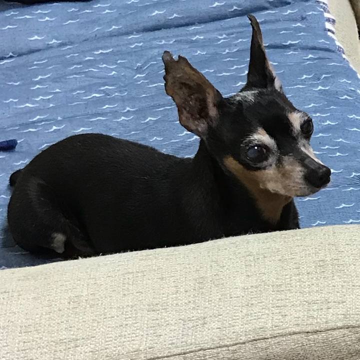 C3924827 b33b 41b0 831d 617a1d4fae3e 1527952596192