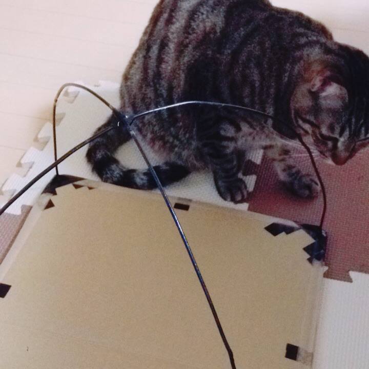 C3925a88 a848 4600 bc1b b74f992005f4 1509177617739