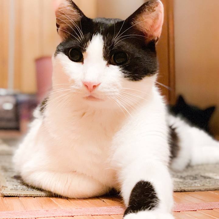 C39267d3 bd58 46a2 9c09 aa1f9398719b 1565659600504