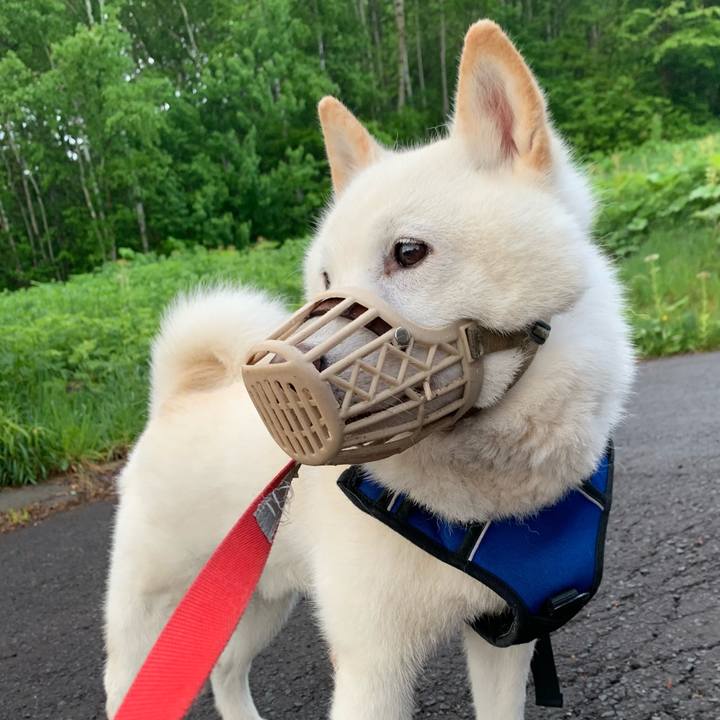 C3926fa9 ea96 452e a8e4 6ba2180b2d5a 1621888998917