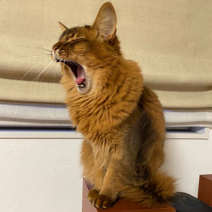 C39283ec 50cf 4ca6 a476 4c0cfe9fc2b6 1642554250850