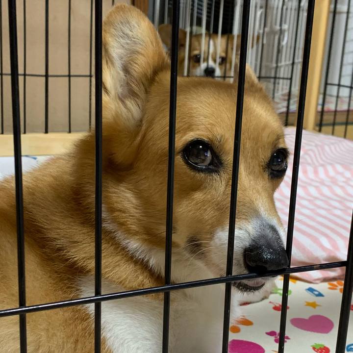 C392a395 3490 4fc7 a1ef ac52a9ba8636 1625784802404