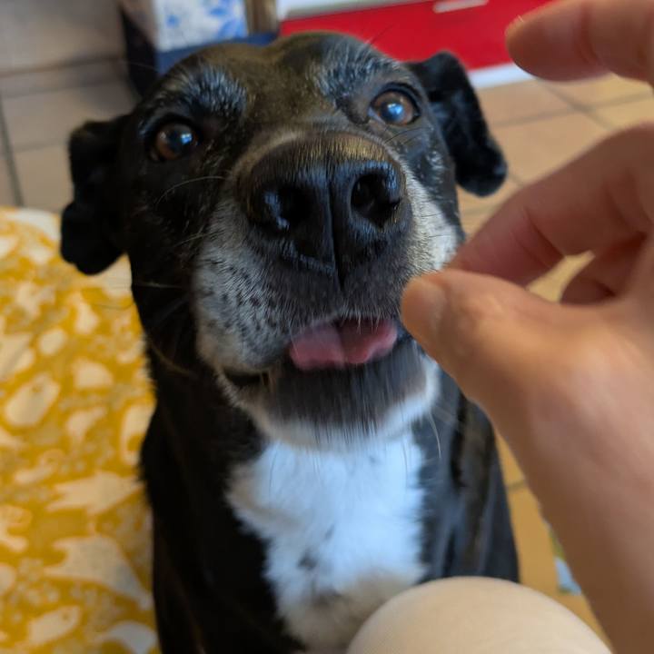 C392ba32 c201 4f1d be1b 400e771c5748 1735518498676