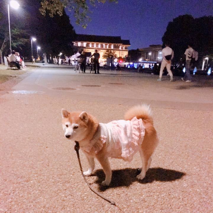 C392d373 b242 4af6 97e5 5cdb860254a3 1526134527536