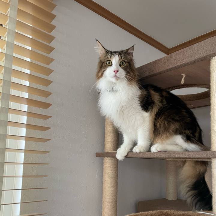 C392f884 bb10 4aef bfd7 555fd7c38482 1658438809769