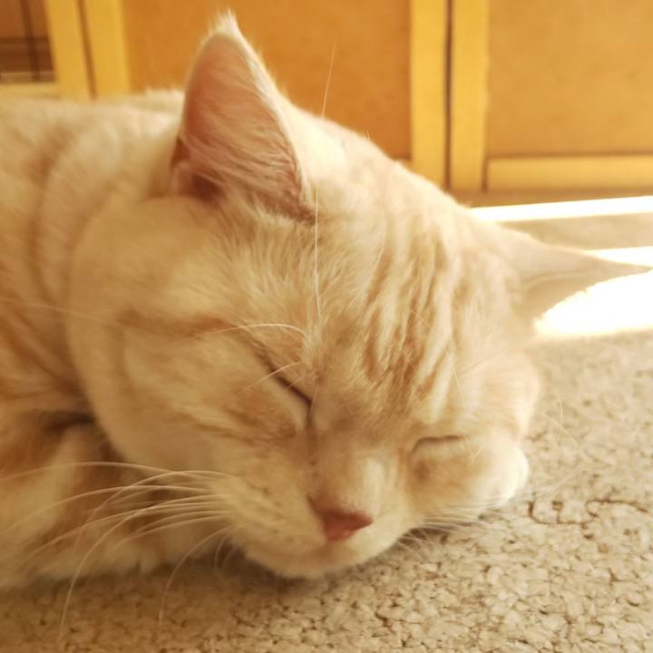 C3931ae1 b6f0 4a74 a78b 5cb82f8b3250 1540963026995