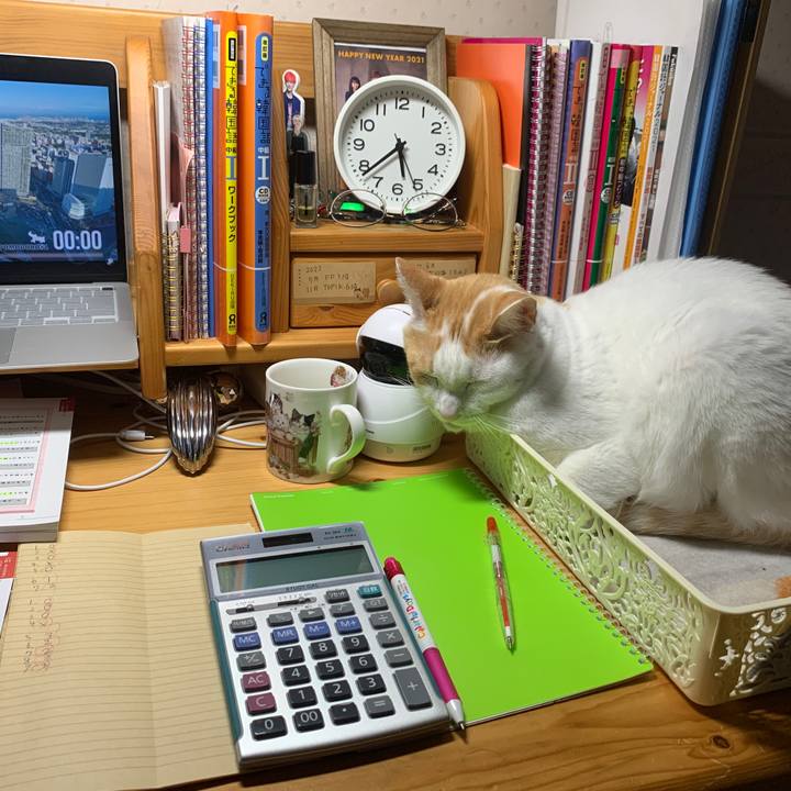 C39324a9 e12c 4d34 81c2 4cb1d11edfce 1651610205261