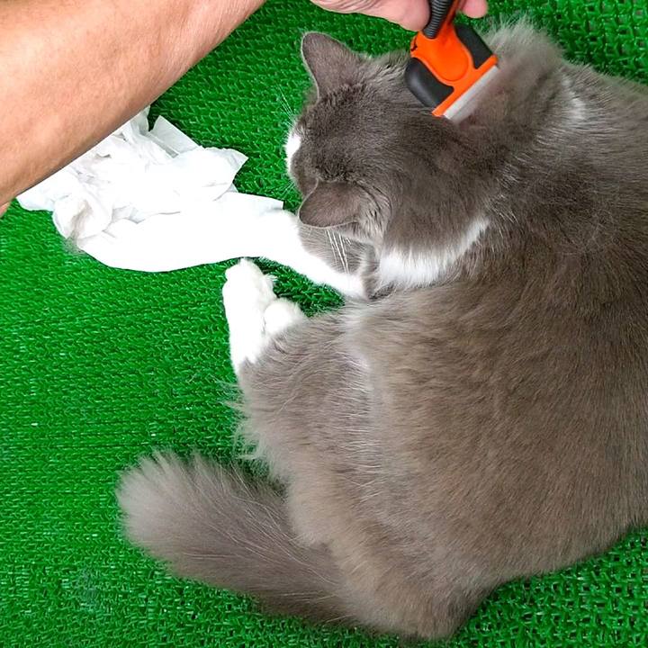 C3932d2e 6e45 4562 8f3e 59739d4269cf 1595474061605