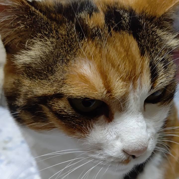 C3935fa0 2682 4353 8ab3 a0fcc232de43 1596878000366