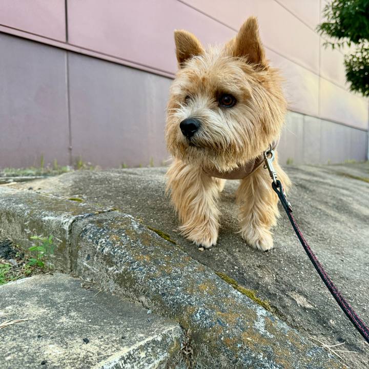 C393978f d799 4666 b8a0 e72c310816b2 1763727700353