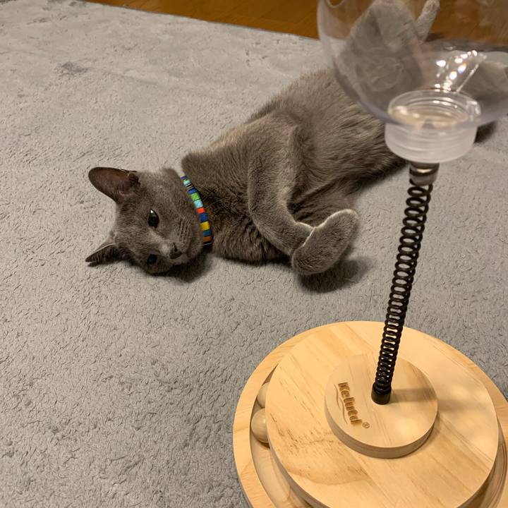 C393b206 8808 43d5 afb9 4a3b8bfa07a5 1661435368359