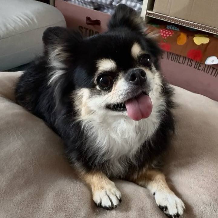 C393b92e 2a80 4041 b8fa 234b6ea11068 1758715843397