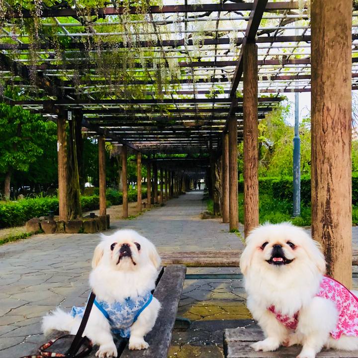 C393e1a7 aac5 4fa4 b166 ec71ca37d4cf 1556974452451