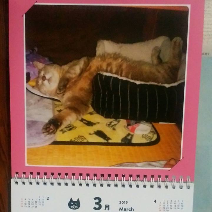 C3943056 745f 4b5c b7a1 2fc2521cd9fb 1551393468919