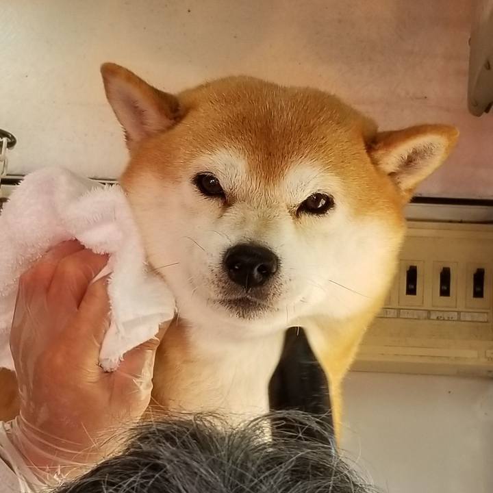 C3943e4a 82a6 4cea 8159 0b6bba787294 1567233539686